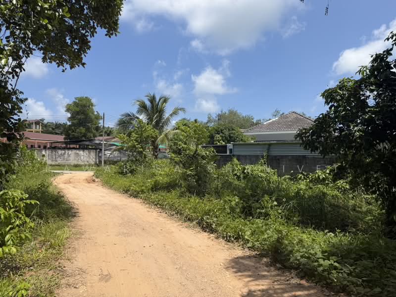 Land for sale in Sakhu Subdistrict, Thalang District, Phuket Province, 10 rai. 2 km from the airport, Phuket, Sa Khu, Thalang, Phuket, , 16,672 sqm, Land For Sale, by Pawarisa Shanivet, 500425089 - DDproperty.com