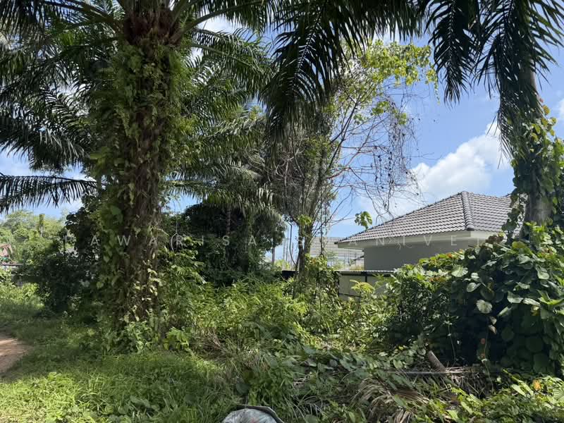 Land for sale in Sakhu Subdistrict, Thalang District, Phuket Province, 10 rai. 2 km from the airport, Phuket, Sa Khu, Thalang, Phuket, , 16,672 sqm, Land For Sale, by Pawarisa Shanivet, 500425089 - DDproperty.com