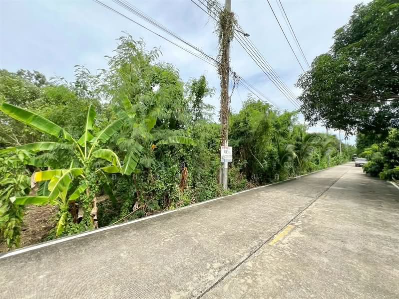 ที่ดินเปล่า 400 ตร.ว. ที่ดิน ใกล้โรงเรียนนานาชาติร่วมฤดี ราชพฤกษ์ แคมปัส ซอยบางกร่าง63/5, นนทบุรี, ถนนราชพฤกษ์, บางกร่าง, เมืองนนทบุรี, นนทบุรี, 1,600 ตร.ม., ที่ดิน ขาย, โดย คุณ สุดาวรรณ พลอยแดง (แอน), 500425379 - DDproperty.com