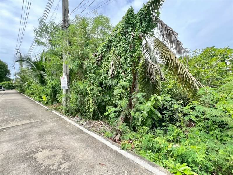 ที่ดินเปล่า 400 ตร.ว. ที่ดิน ใกล้โรงเรียนนานาชาติร่วมฤดี ราชพฤกษ์ แคมปัส ซอยบางกร่าง63/5, นนทบุรี, ถนนราชพฤกษ์, บางกร่าง, เมืองนนทบุรี, นนทบุรี, 1,600 ตร.ม., ที่ดิน ขาย, โดย คุณ สุดาวรรณ พลอยแดง (แอน), 500425379 - DDproperty.com