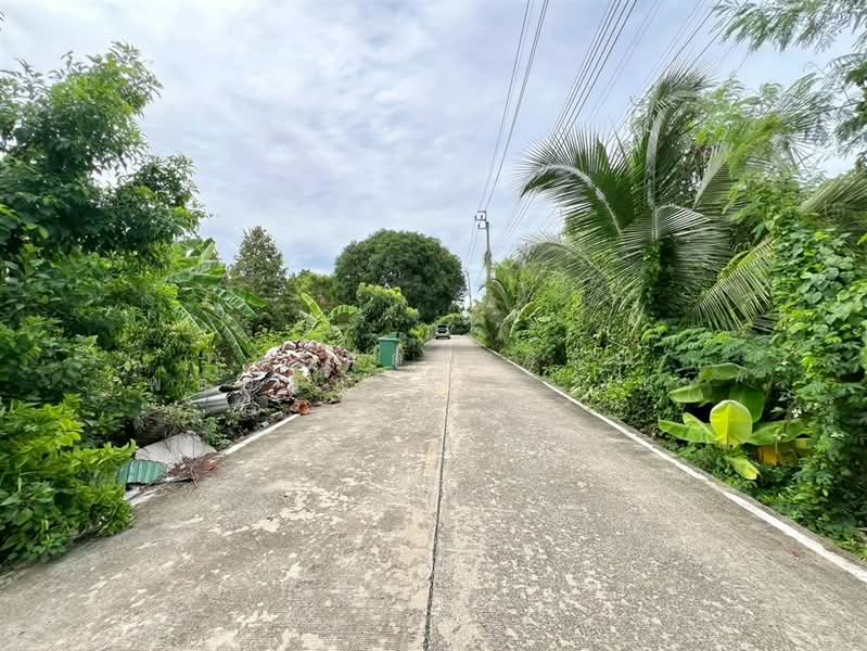 ที่ดินเปล่า 400 ตร.ว. ที่ดิน ใกล้โรงเรียนนานาชาติร่วมฤดี ราชพฤกษ์ แคมปัส ซอยบางกร่าง63/5, Nonthaburi, ถนนราชพฤกษ์, Bang Krang, Muang Nonthaburi, Nonthaburi, , 1,600 sqm, Land For Sale, by คุณ สุดาวรรณ พลอยแดง (แอน), 500425379 - DDproperty.com