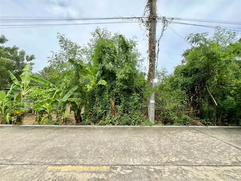 ที่ดินเปล่า 400 ตร.ว. ที่ดิน ใกล้โรงเรียนนานาชาติร่วมฤดี ราชพฤกษ์ แคมปัส ซอยบางกร่าง63/5, Nonthaburi, ถนนราชพฤกษ์, Bang Krang, Muang Nonthaburi, Nonthaburi, , 1,600 sqm, Land For Sale, by คุณ สุดาวรรณ พลอยแดง (แอน), 500425379 - DDproperty.com