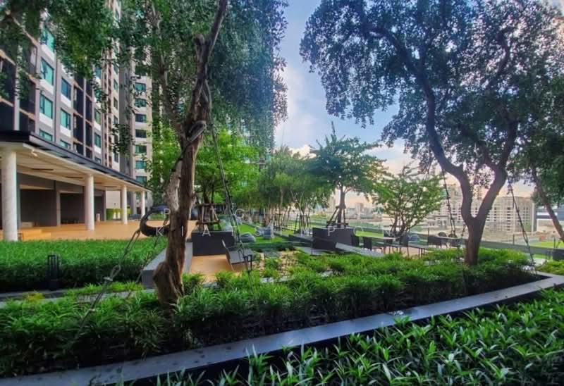 Life Asoke, Bangkok, Asoke-Dindang Road, Bang Kapi, Huai Khwang, Bangkok, 1 Bedroom, 37 sqm, Condo For Rent, by Pitchocha Kiatsinpon, 500425421 - DDproperty.com