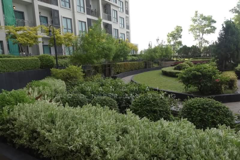 The Rich Sathorn-Taksin, Bangkok, Krung Thon Buri Road, Bang Lam Phu Lang, Khlong San, Bangkok, 1 Bedroom, 24 sqm, Condo For Sale, by Kwanchai Boonprasong, 500425842 - DDproperty.com