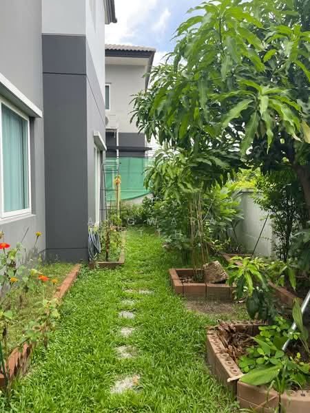 Centro Ratchapruek, Nonthaburi, Soi Bang Len, Bang Yai, Nonthaburi, 4 Bedrooms, 190 sqm, Single Detached House For Sale, by Angwara Puttha, 500426030 - DDproperty.com