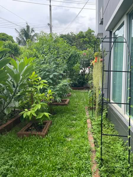 Centro Ratchapruek, Nonthaburi, Soi Bang Len, Bang Yai, Nonthaburi, 4 Bedrooms, 190 sqm, Single Detached House For Sale, by Angwara Puttha, 500426030 - DDproperty.com