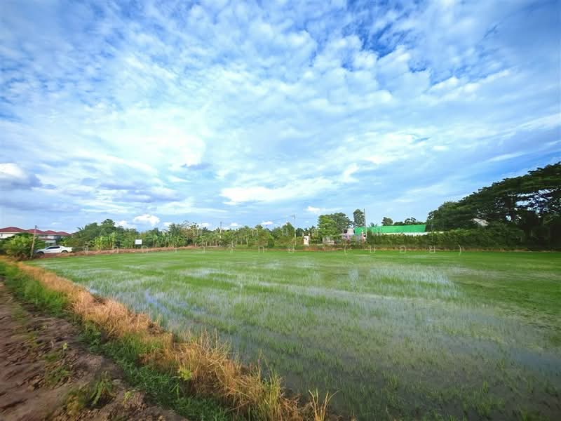 ที่ดินเปล่า 1 ไร่ 200 ตร.ว. ที่ดินเปล่า ถนนพุมธมณฑลสาย5, Nakhon Pathom, ถนนพุมธมณฑลสาย5, Bang Krathuk, Sam Phran, Nakhon Pathom, , 2,400 sqm, Land For Sale, by คุณ กันตภณ จักกาวิรักษ์ (บอย), 500426267 - DDproperty.com