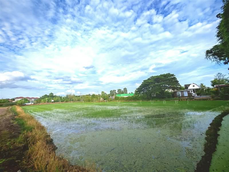 ที่ดินเปล่า 1 ไร่ 200 ตร.ว. ที่ดินเปล่า ถนนพุมธมณฑลสาย5, Nakhon Pathom, ถนนพุมธมณฑลสาย5, Bang Krathuk, Sam Phran, Nakhon Pathom, , 2,400 sqm, Land For Sale, by คุณ กันตภณ จักกาวิรักษ์ (บอย), 500426267 - DDproperty.com