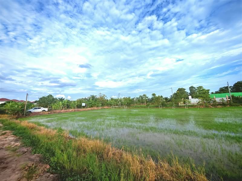 ที่ดินเปล่า 1 ไร่ 200 ตร.ว. ที่ดินเปล่า ถนนพุมธมณฑลสาย5, Nakhon Pathom, ถนนพุมธมณฑลสาย5, Bang Krathuk, Sam Phran, Nakhon Pathom, , 2,400 sqm, Land For Sale, by คุณ กันตภณ จักกาวิรักษ์ (บอย), 500426267 - DDproperty.com