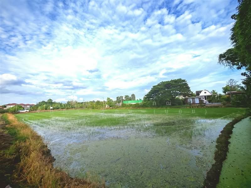 ที่ดินเปล่า 1 ไร่ 200 ตร.ว. ที่ดินเปล่า ถนนพุมธมณฑลสาย5, Nakhon Pathom, ถนนพุมธมณฑลสาย5, Bang Krathuk, Sam Phran, Nakhon Pathom, , 2,400 sqm, Land For Sale, by คุณ กันตภณ จักกาวิรักษ์ (บอย), 500426267 - DDproperty.com