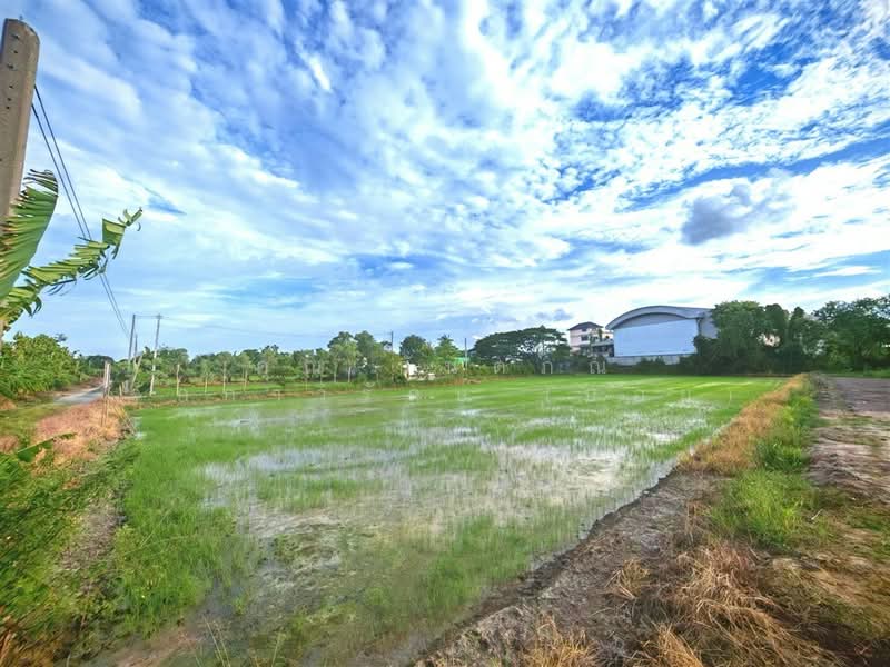 ที่ดินเปล่า 1 ไร่ 200 ตร.ว. ที่ดินเปล่า ถนนพุมธมณฑลสาย5, Nakhon Pathom, ถนนพุมธมณฑลสาย5, Bang Krathuk, Sam Phran, Nakhon Pathom, , 2,400 sqm, Land For Sale, by คุณ กันตภณ จักกาวิรักษ์ (บอย), 500426267 - DDproperty.com