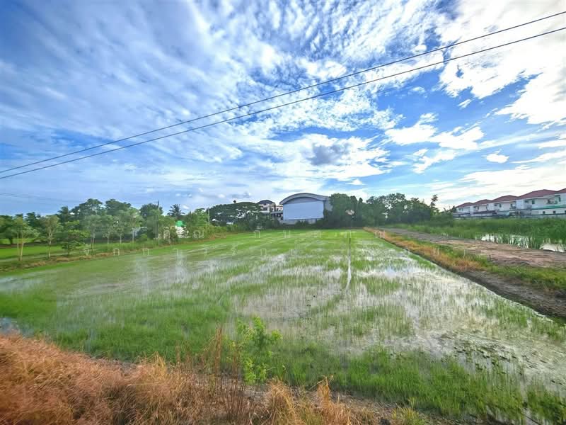 ที่ดินเปล่า 1 ไร่ 200 ตร.ว. ที่ดินเปล่า ถนนพุมธมณฑลสาย5, Nakhon Pathom, ถนนพุมธมณฑลสาย5, Bang Krathuk, Sam Phran, Nakhon Pathom, , 2,400 sqm, Land For Sale, by คุณ กันตภณ จักกาวิรักษ์ (บอย), 500426267 - DDproperty.com