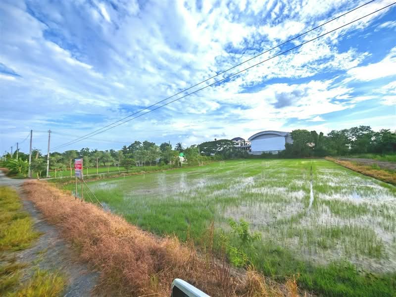 ที่ดินเปล่า 1 ไร่ 200 ตร.ว. ที่ดินเปล่า ถนนพุมธมณฑลสาย5, Nakhon Pathom, ถนนพุมธมณฑลสาย5, Bang Krathuk, Sam Phran, Nakhon Pathom, , 2,400 sqm, Land For Sale, by คุณ กันตภณ จักกาวิรักษ์ (บอย), 500426267 - DDproperty.com