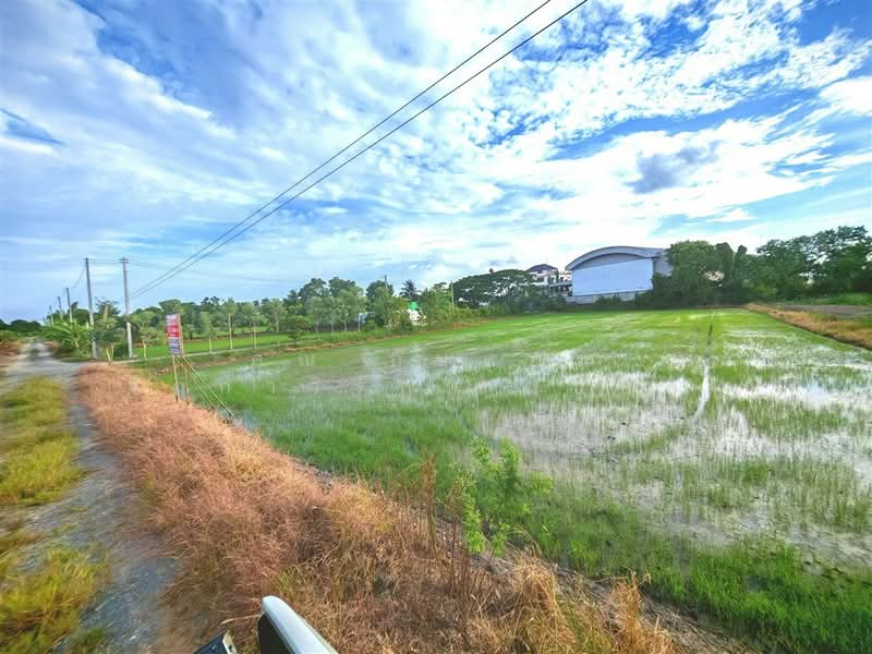 ที่ดินเปล่า 1 ไร่ 200 ตร.ว. ที่ดินเปล่า ถนนพุมธมณฑลสาย5, Nakhon Pathom, ถนนพุมธมณฑลสาย5, Bang Krathuk, Sam Phran, Nakhon Pathom, , 2,400 sqm, Land For Sale, by คุณ กันตภณ จักกาวิรักษ์ (บอย), 500426267 - DDproperty.com