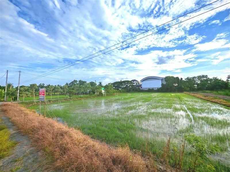 ที่ดินเปล่า 1 ไร่ 200 ตร.ว. ที่ดินเปล่า ถนนพุมธมณฑลสาย5, นครปฐม, ถนนพุมธมณฑลสาย5, บางกระทึก, สามพราน, นครปฐม, 2,400 ตร.ม., ที่ดิน ขาย, โดย คุณ กันตภณ จักกาวิรักษ์ (บอย), 500426267 - DDproperty.com