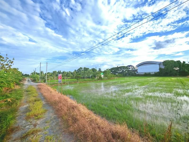 ที่ดินเปล่า 1 ไร่ 200 ตร.ว. ที่ดินเปล่า ถนนพุมธมณฑลสาย5, Nakhon Pathom, ถนนพุมธมณฑลสาย5, Bang Krathuk, Sam Phran, Nakhon Pathom, , 2,400 sqm, Land For Sale, by คุณ กันตภณ จักกาวิรักษ์ (บอย), 500426267 - DDproperty.com