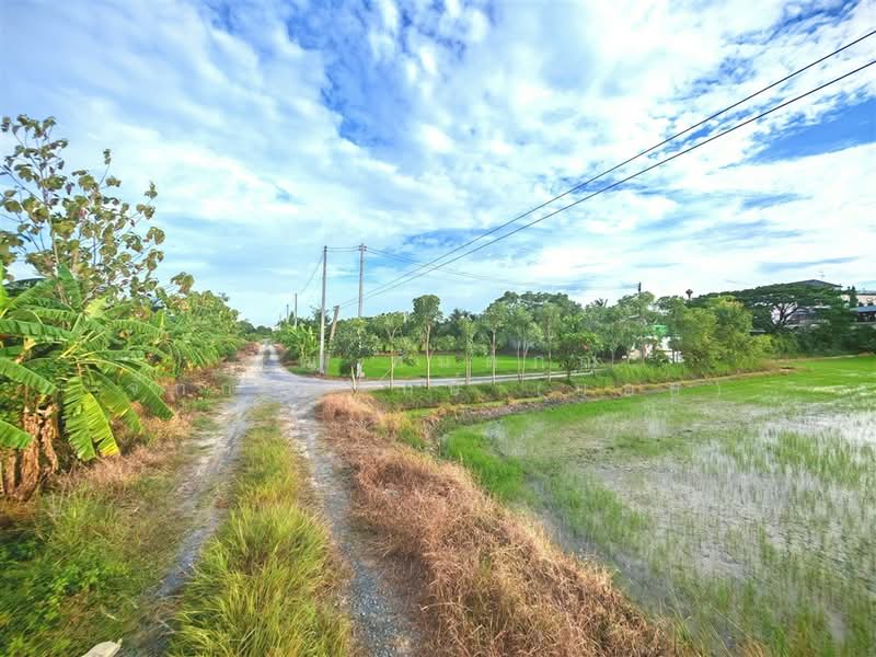 ที่ดินเปล่า 1 ไร่ 200 ตร.ว. ที่ดินเปล่า ถนนพุมธมณฑลสาย5, Nakhon Pathom, ถนนพุมธมณฑลสาย5, Bang Krathuk, Sam Phran, Nakhon Pathom, , 2,400 sqm, Land For Sale, by คุณ กันตภณ จักกาวิรักษ์ (บอย), 500426267 - DDproperty.com