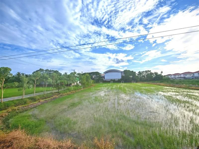 ที่ดินเปล่า 1 ไร่ 200 ตร.ว. ที่ดินเปล่า ถนนพุมธมณฑลสาย5, Nakhon Pathom, ถนนพุมธมณฑลสาย5, Bang Krathuk, Sam Phran, Nakhon Pathom, , 2,400 sqm, Land For Sale, by คุณ กันตภณ จักกาวิรักษ์ (บอย), 500426267 - DDproperty.com