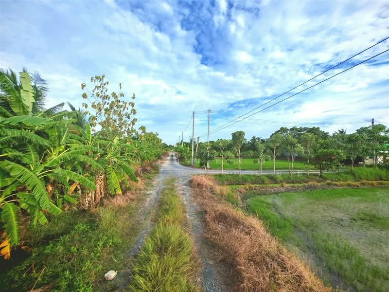 ที่ดินเปล่า 1 ไร่ 200 ตร.ว. ที่ดินเปล่า ถนนพุมธมณฑลสาย5, นครปฐม, ถนนพุมธมณฑลสาย5, บางกระทึก, สามพราน, นครปฐม, 2,400 ตร.ม., ที่ดิน ขาย, โดย คุณ กันตภณ จักกาวิรักษ์ (บอย), 500426267 - DDproperty.com