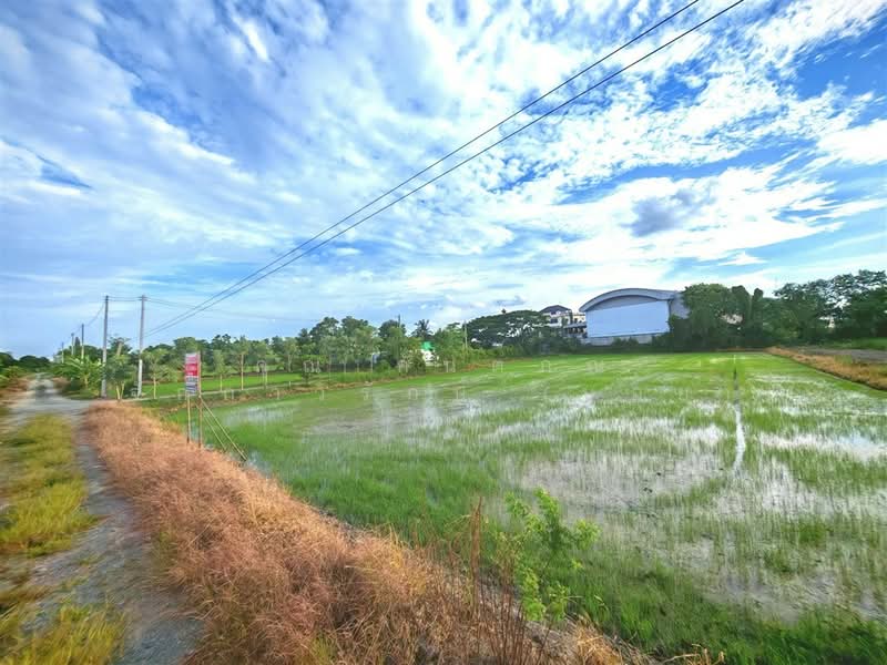 ที่ดินเปล่า 1 ไร่ 200 ตร.ว. ที่ดินเปล่า ถนนพุมธมณฑลสาย5, Nakhon Pathom, ถนนพุมธมณฑลสาย5, Bang Krathuk, Sam Phran, Nakhon Pathom, , 2,400 sqm, Land For Sale, by คุณ กันตภณ จักกาวิรักษ์ (บอย), 500426267 - DDproperty.com