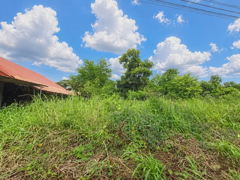 ที่ดินท่าบ่อ หนองคาย, Nong Khai, Tha Bo, Nong Khai, , 409 sqm, Land For Sale, by The Best Property เป้า, 500426279 - DDproperty.com