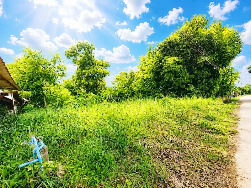 ที่ดินท่าบ่อ หนองคาย, Nong Khai, Tha Bo, Nong Khai, , 409 sqm, Land For Sale, by The Best Property เป้า, 500426279 - DDproperty.com