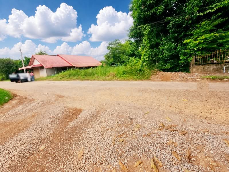 ที่ดินท่าบ่อ หนองคาย, หนองคาย, ท่าบ่อ, หนองคาย, 409 ตร.ม., ที่ดิน ขาย, โดย The Best Property เป้า, 500426279 - DDproperty.com