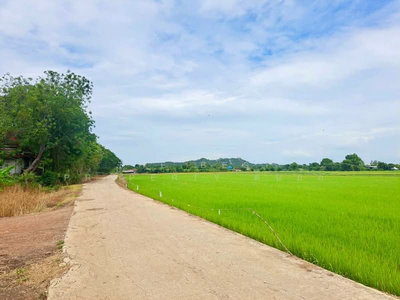 ที่ดินตาคลี นครสวรรค์, Nakhon Sawan, Phrom Nimitr, Takhli, Nakhon Sawan, , 27,484 sqm, Land For Sale, by The Best Property ต้นอ้อ, 500426280 - DDproperty.com
