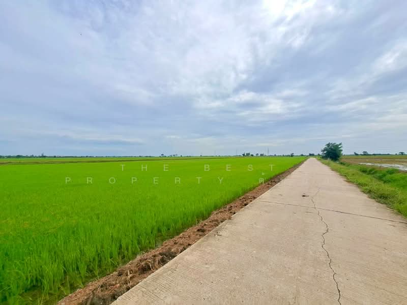 ที่ดินตาคลี นครสวรรค์, Nakhon Sawan, Phrom Nimitr, Takhli, Nakhon Sawan, , 27,484 sqm, Land For Sale, by The Best Property ต้นอ้อ, 500426280 - DDproperty.com