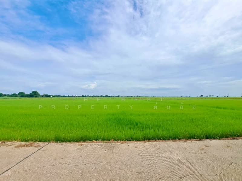 ที่ดินตาคลี นครสวรรค์, Nakhon Sawan, Phrom Nimitr, Takhli, Nakhon Sawan, , 27,484 sqm, Land For Sale, by The Best Property ต้นอ้อ, 500426280 - DDproperty.com