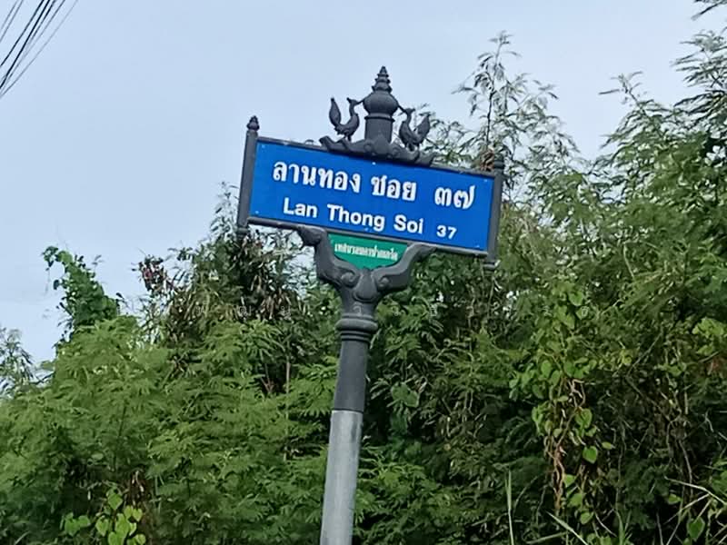 Baan Lanthog Tiwanon-Pak Kret 27 : บ้านลานทอง ติวานนท์-ปากเกร็ด 27, นนทบุรี, ถนนติวานนท์, บางพูด, ปากเกร็ด, นนทบุรี, 288 ตร.ม., ที่ดิน ขาย, โดย ธัญพัฒน์ วิวิธวรรธ์, 500426284 - DDproperty.com