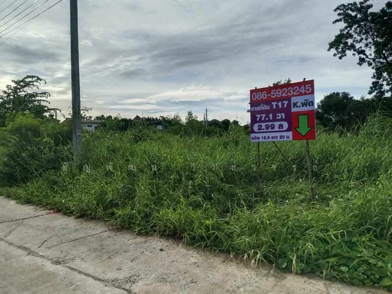Baan Lanthog Tiwanon-Pak Kret 27 : บ้านลานทอง ติวานนท์-ปากเกร็ด 27, นนทบุรี, ถนนติวานนท์, บางพูด, ปากเกร็ด, นนทบุรี, 288 ตร.ม., ที่ดิน ขาย, โดย ธัญพัฒน์ วิวิธวรรธ์, 500426284 - DDproperty.com