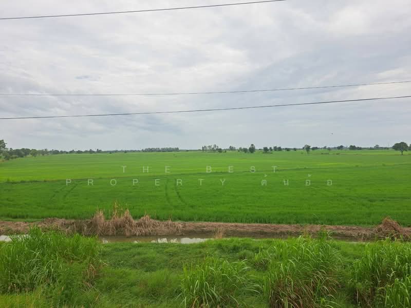ที่ดินตาคลี นครสวรรค์, Nakhon Sawan, Soi Thong, Takhli, Nakhon Sawan, , 35,488 sqm, Land For Sale, by The Best Property ต้นอ้อ, 500426294 - DDproperty.com