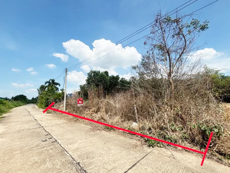 ที่ดินเกาะขวาง จันทบุรี, Chon Buri (Pattaya), Tha Bunmi, Ko Chan, Chon Buri (Pattaya), , 800 sqm, Land For Sale, by The Best Property นิด, 500426314 - DDproperty.com