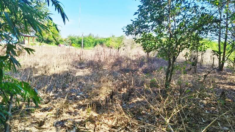 ที่ดินเกาะขวาง จันทบุรี, Chon Buri (Pattaya), Tha Bunmi, Ko Chan, Chon Buri (Pattaya), , 800 sqm, Land For Sale, by The Best Property นิด, 500426314 - DDproperty.com
