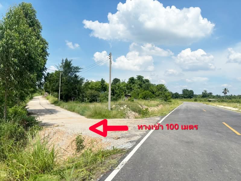 ที่ดินเกาะขวาง จันทบุรี, Chon Buri (Pattaya), Tha Bunmi, Ko Chan, Chon Buri (Pattaya), , 800 sqm, Land For Sale, by The Best Property นิด, 500426314 - DDproperty.com