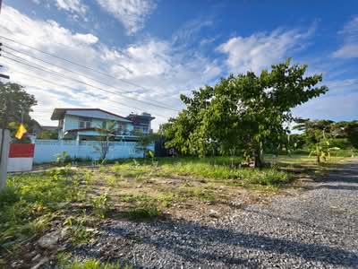 ขาย - ที่ดินเปล่า 168.3 ตร.ว. ที่ดิน ซอยเพชรหึงษ์3, สมุทรปราการ