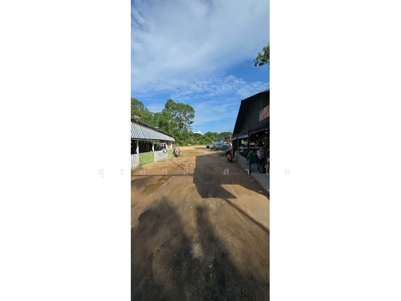 Beachfront Land Bang Saray 11-1-53 Rais Sale 80 Million Baht per Rai, Chon Buri (Pattaya), นาจอมเทียน 56, Bang Sa-re, Sattahip, Chon Buri (Pattaya), , 18,212 sqm, Land For Sale, by Surasak Satho, 500426385 - DDproperty.com