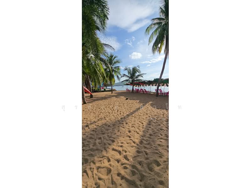 Beachfront Land Bang Saray 11-1-53 Rais Sale 80 Million Baht per Rai, Chon Buri (Pattaya), นาจอมเทียน 56, Bang Sa-re, Sattahip, Chon Buri (Pattaya), , 18,212 sqm, Land For Sale, by Surasak Satho, 500426385 - DDproperty.com