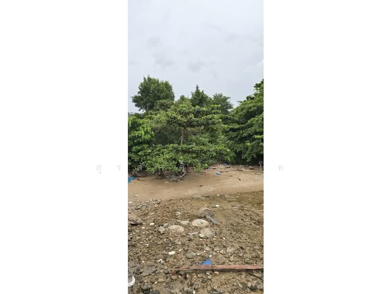 Beach Front Land stunning view Sriracha Bay beside Centara Sonrisa Residence and Suites Sriracha, Chon Buri (Pattaya), Si Racha, Chon Buri (Pattaya), , 1,764 sqm, Land For Sale, by Surasak Satho, 500426407 - DDproperty.com