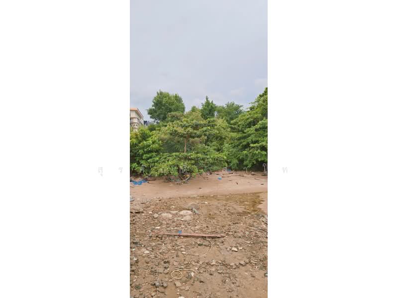 Beach Front Land stunning view Sriracha Bay beside Centara Sonrisa Residence and Suites Sriracha, Chon Buri (Pattaya), Si Racha, Chon Buri (Pattaya), , 1,764 sqm, Land For Sale, by Surasak Satho, 500426407 - DDproperty.com