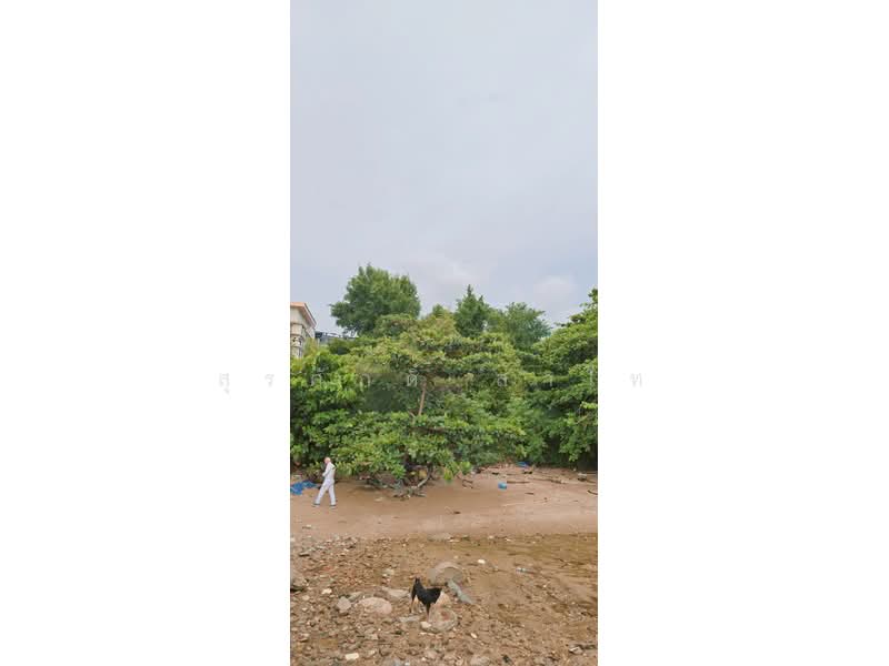 Beach Front Land stunning view Sriracha Bay beside Centara Sonrisa Residence and Suites Sriracha, Chon Buri (Pattaya), Si Racha, Chon Buri (Pattaya), , 1,764 sqm, Land For Sale, by Surasak Satho, 500426407 - DDproperty.com