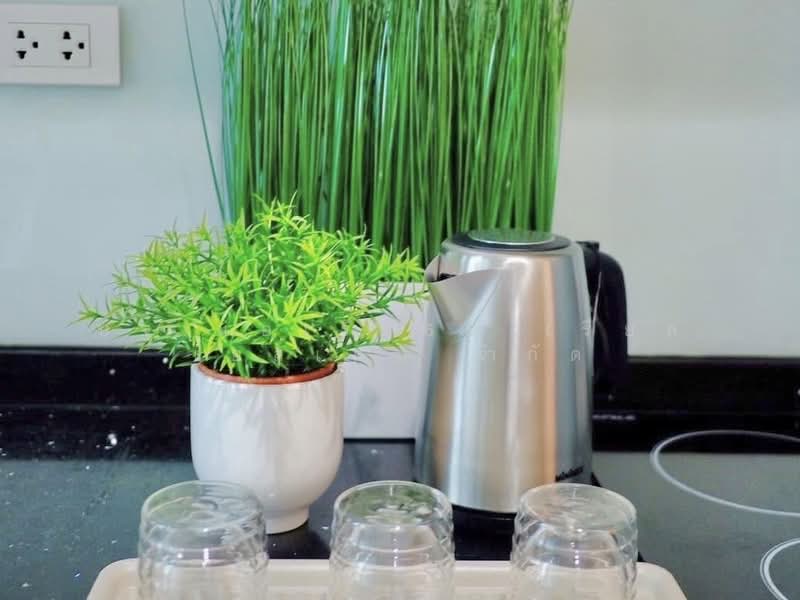 Mayfair Place Sukhumvit 64, Bangkok, Sukhumvit 64 Road, Bang Chak, Phra Khanong, Bangkok, 1 Bedroom, 38 sqm, Condo For Sale, by AREA66 Real Estate Co.,Ltd, 500426443 - DDproperty.com