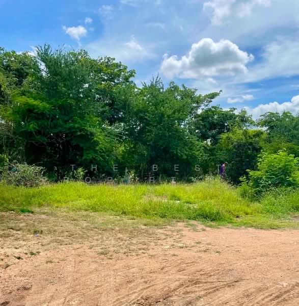 ที่ดินท่าตะโก นครสวรรค์, นครสวรรค์, ดอนคา, ท่าตะโก, นครสวรรค์, 448 ตร.ม., ที่ดิน ขาย, โดย The Best Property ต้นอ้อ, 500426467 - DDproperty.com