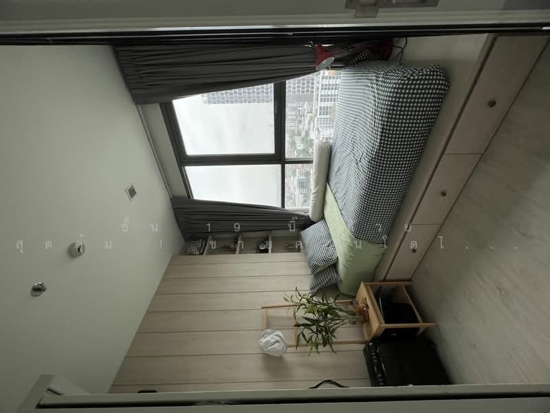 IDEO MOBI Sukhumvit 81, Bangkok, 2097 Sukhumvit Road, Bang Chak, Phra Khanong, Bangkok, 2 Bedrooms, 44 sqm, Condo For Sale, by ชั้น 19 บิ๊วสวย สุดคุ้ม ! ขายคอนโดไอดีโอ โมบิ สุขุมวิท, 500426472 - DDproperty.com
