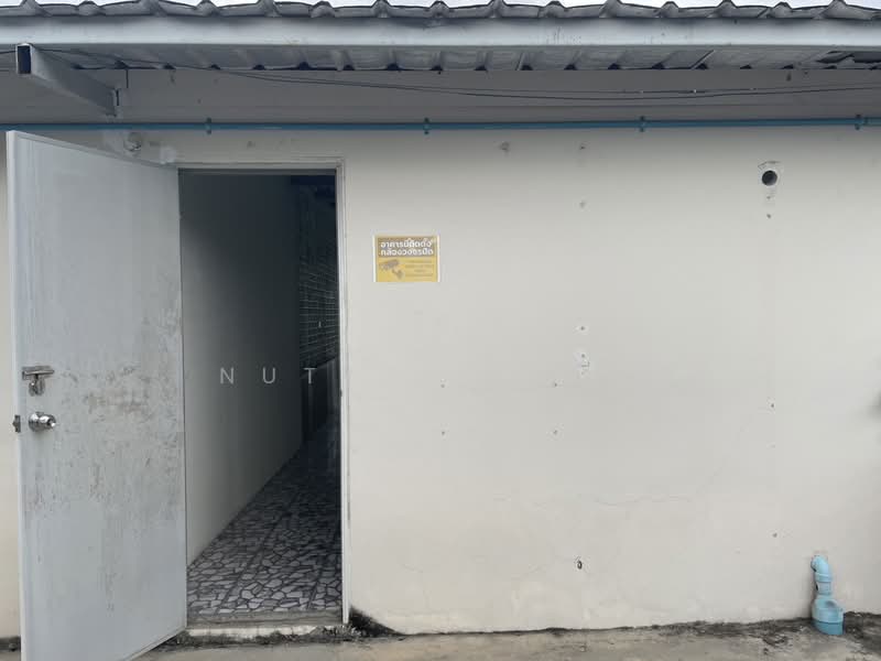 ROICHANG AVENUE, Samut Prakan, หนามแดง-บางพลี, Bangphli Yai, Bang Plee, Samut Prakan, , 48 sqm, Shophouse For Rent, by Nutagorn P., 500426560 - DDproperty.com