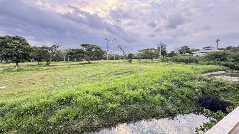 ฮอลิเดย์ปาร์ค(บ.หนองมะค่า), Nakhon Ratchasima, Pak Chong, Nakhon Ratchasima, 4 Bedrooms, 151 sqm, Single Detached House For Sale, by ธนณัฎฐ์ ศตายุสกุลวงศ์, 500426584 - DDproperty.com