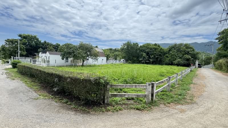 ที่ดินเปล่า ตำบลพญาเย็น, Nakhon Ratchasima, Phyayen, Pak Chong, Nakhon Ratchasima, , 1,352 sqm, Land For Sale, by ธนณัฎฐ์ ศตายุสกุลวงศ์, 500426593 - DDproperty.com