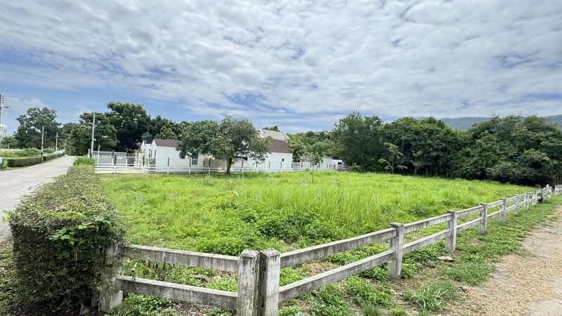 ที่ดินเปล่า ตำบลพญาเย็น, Nakhon Ratchasima, Phyayen, Pak Chong, Nakhon Ratchasima, , 1,352 sqm, Land For Sale, by ธนณัฎฐ์ ศตายุสกุลวงศ์, 500426593 - DDproperty.com