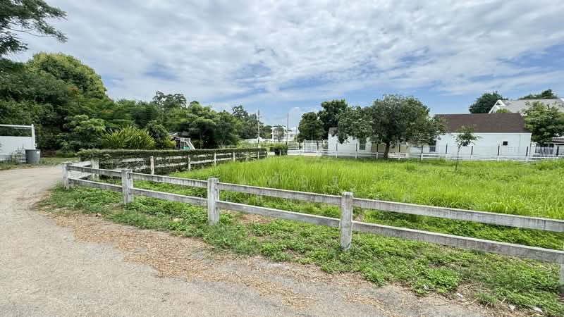 ที่ดินเปล่า ตำบลพญาเย็น, Nakhon Ratchasima, Phyayen, Pak Chong, Nakhon Ratchasima, , 1,352 sqm, Land For Sale, by ธนณัฎฐ์ ศตายุสกุลวงศ์, 500426593 - DDproperty.com
